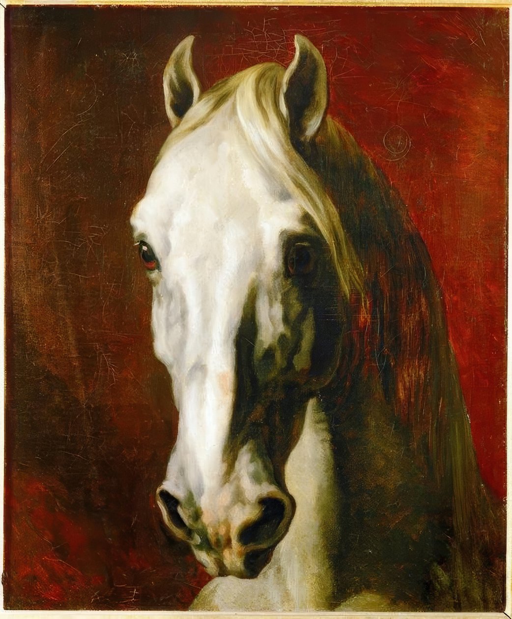 Hlava bílého koně od Theodore Gericault