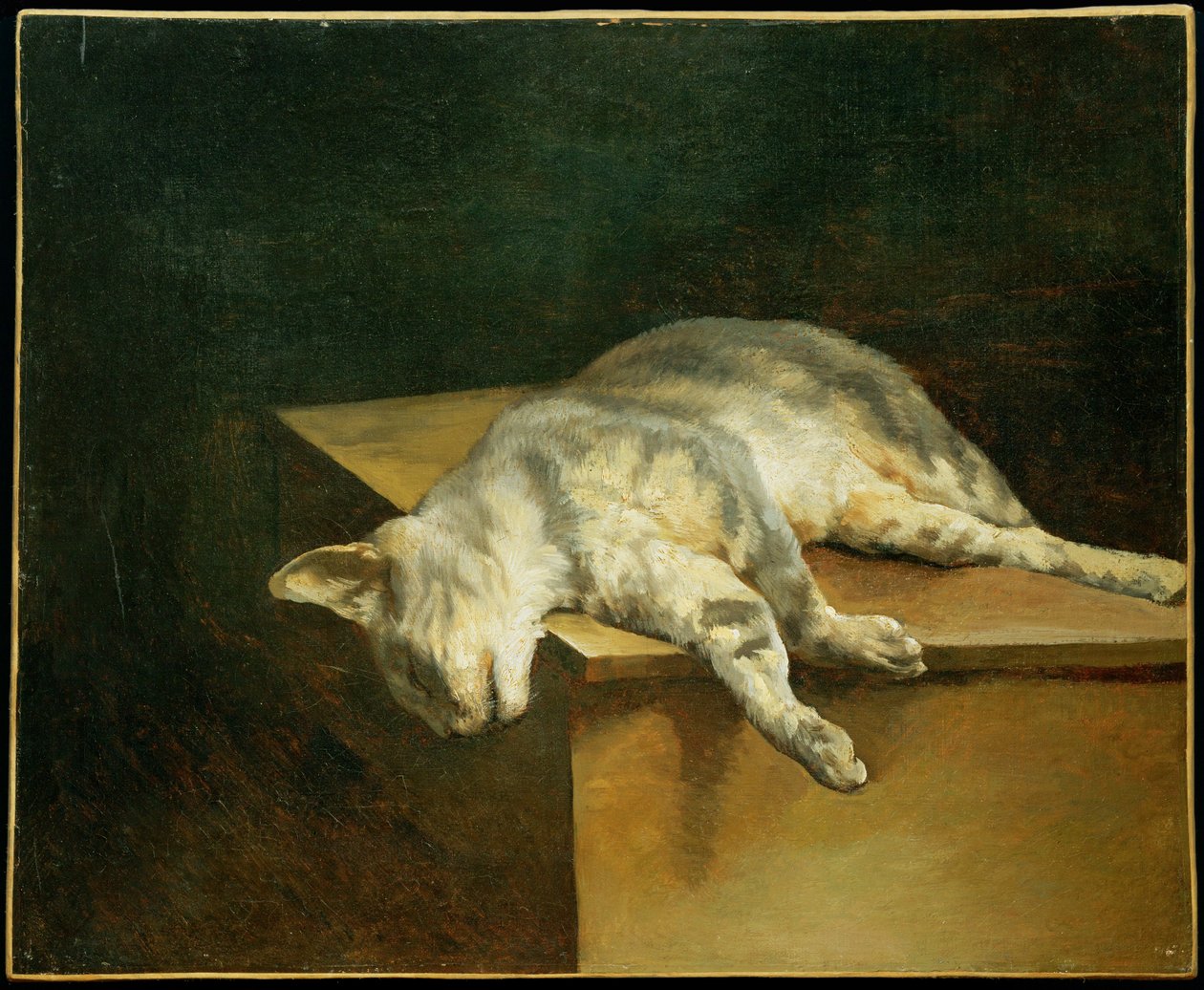 Le chat mort - Mrtvá kočka ... od Theodore Gericault