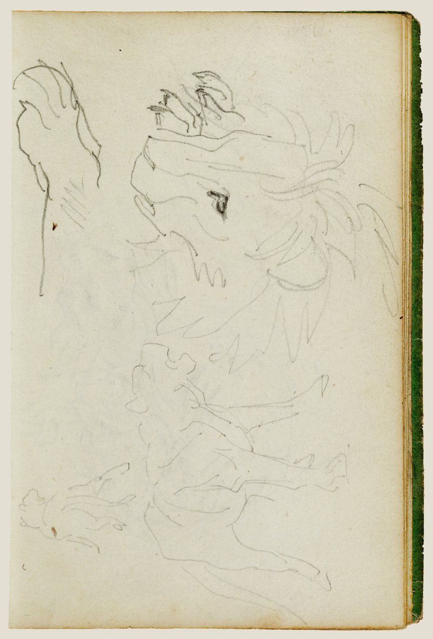 Studie o lvech od Theodore Gericault