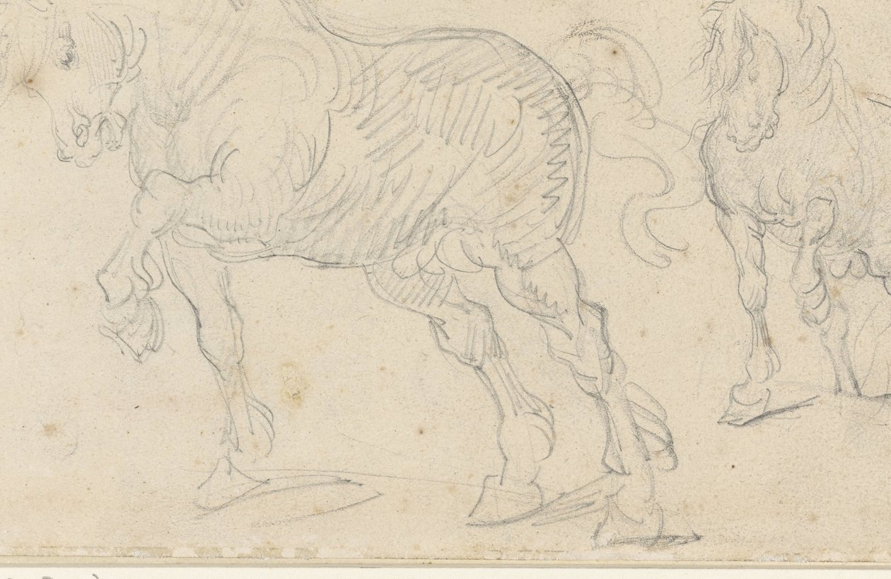 Studie o koních od Theodore Gericault
