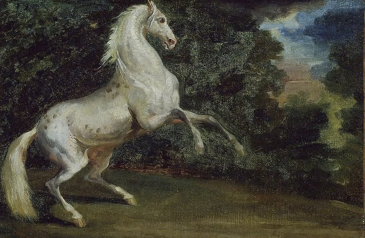 Vzpínající se kůň od Theodore Gericault