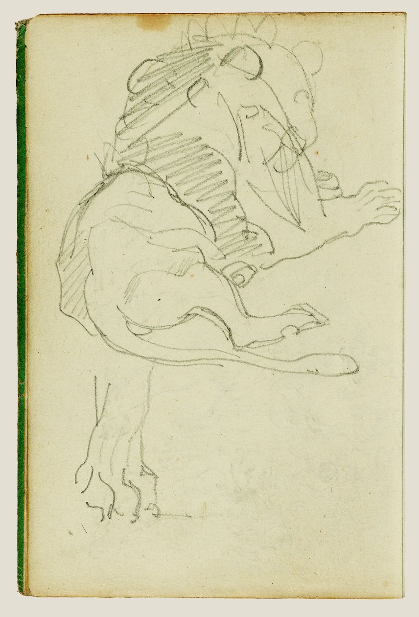 Sedící lev od Theodore Gericault