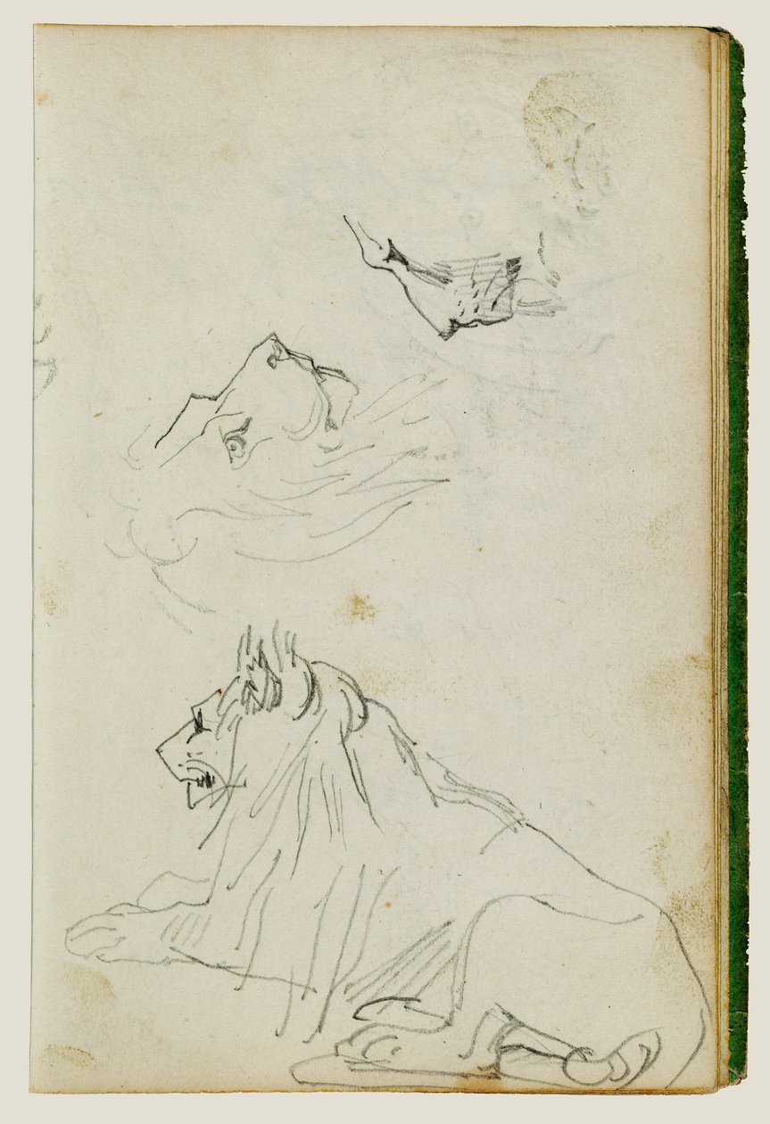 Sedící lev, dvě studie lví hlavy od Theodore Gericault