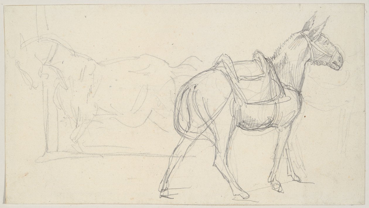 Náčrt koně od Theodore Gericault
