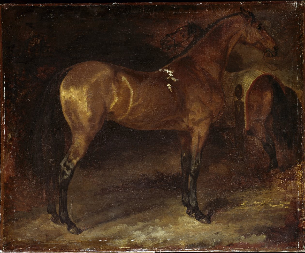 Španělský kůň - olej na plátně od Theodore Gericault
