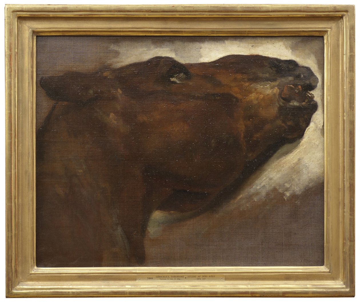 Studie mrtvého koně od Theodore Gericault