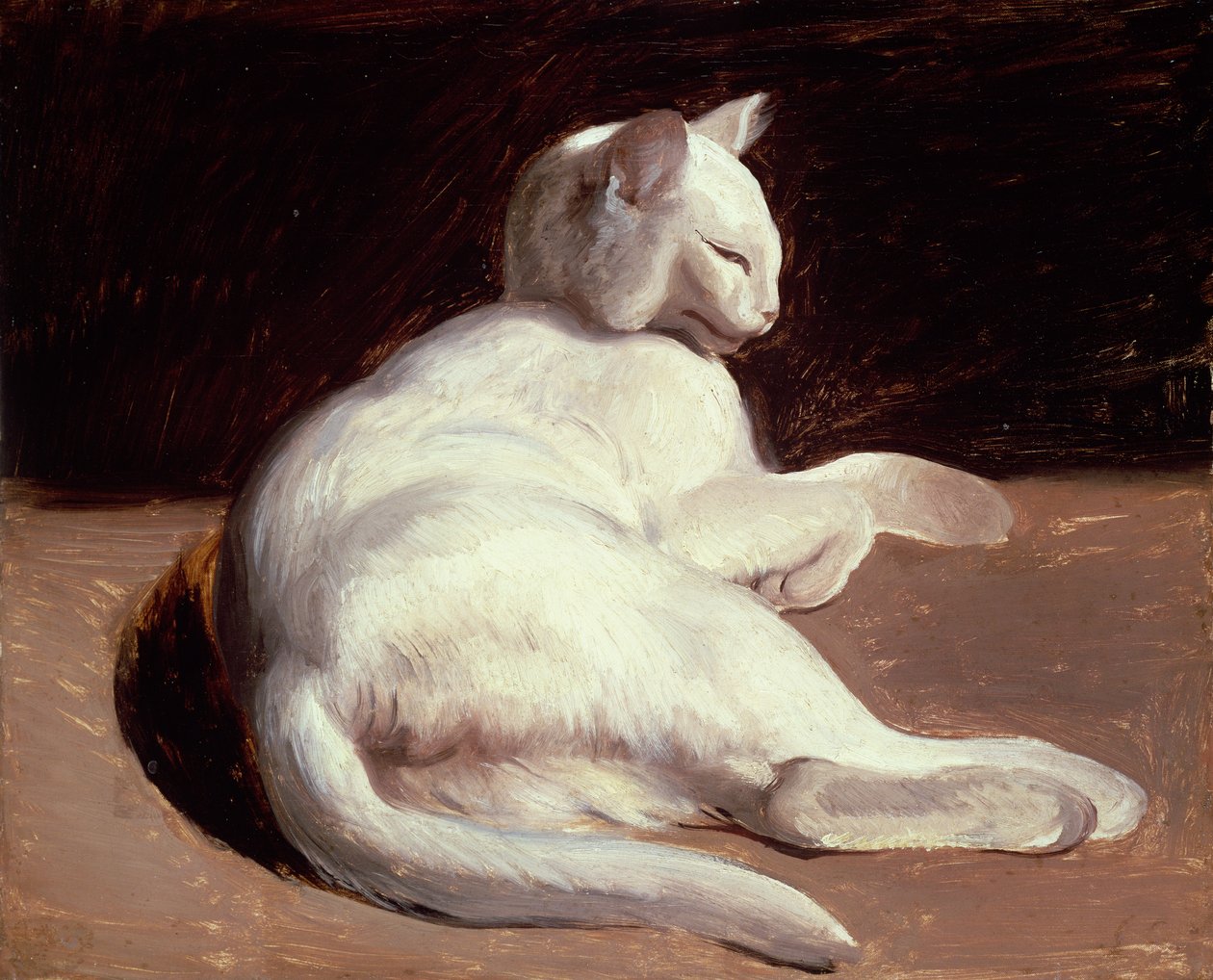 Bílá kočka, kolem 1817-18 od Theodore Gericault