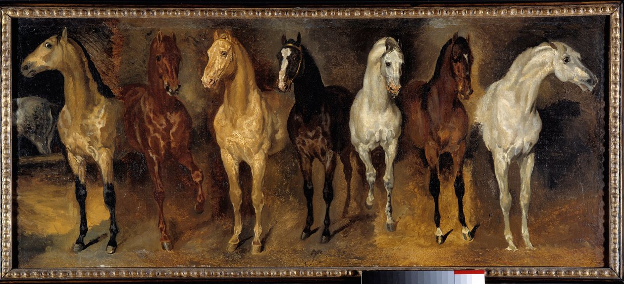 Prsa Sedm koní zepředu. Obraz Theodora Gericaulta (1791-1824) 19. století Sun. 0,39x0,94 m Soukromá sbírka - Truhly sedmi koní (pohled zepředu). Obraz Theodora Gericaulta (1791-1824) od Theodore Gericault