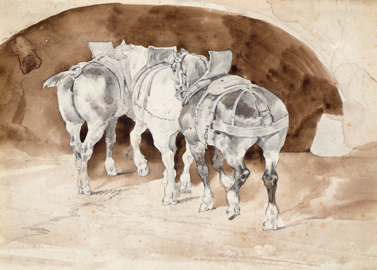 Tři těžcí koně v postroji (tužka a sépie mytí) od Theodore Gericault