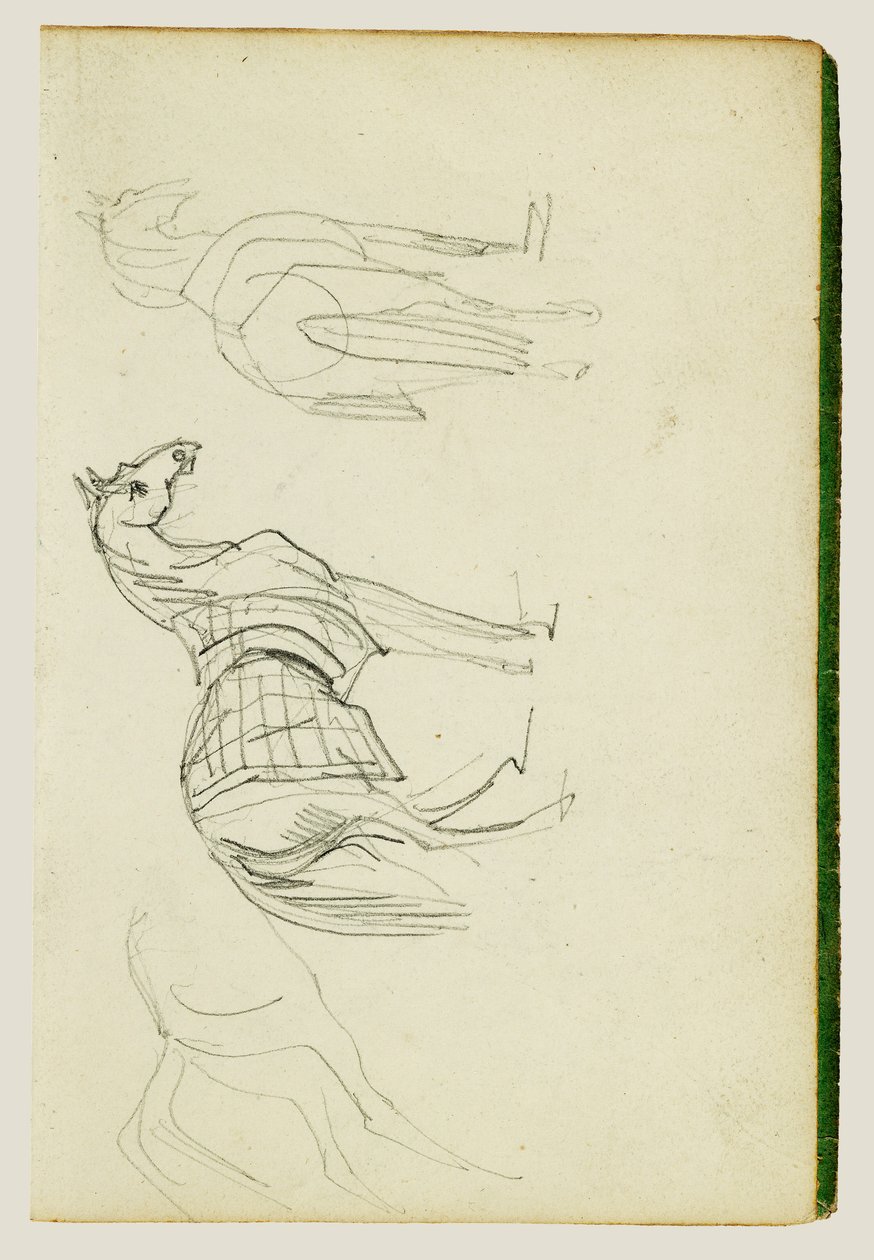 Tři studie na koních od Theodore Gericault