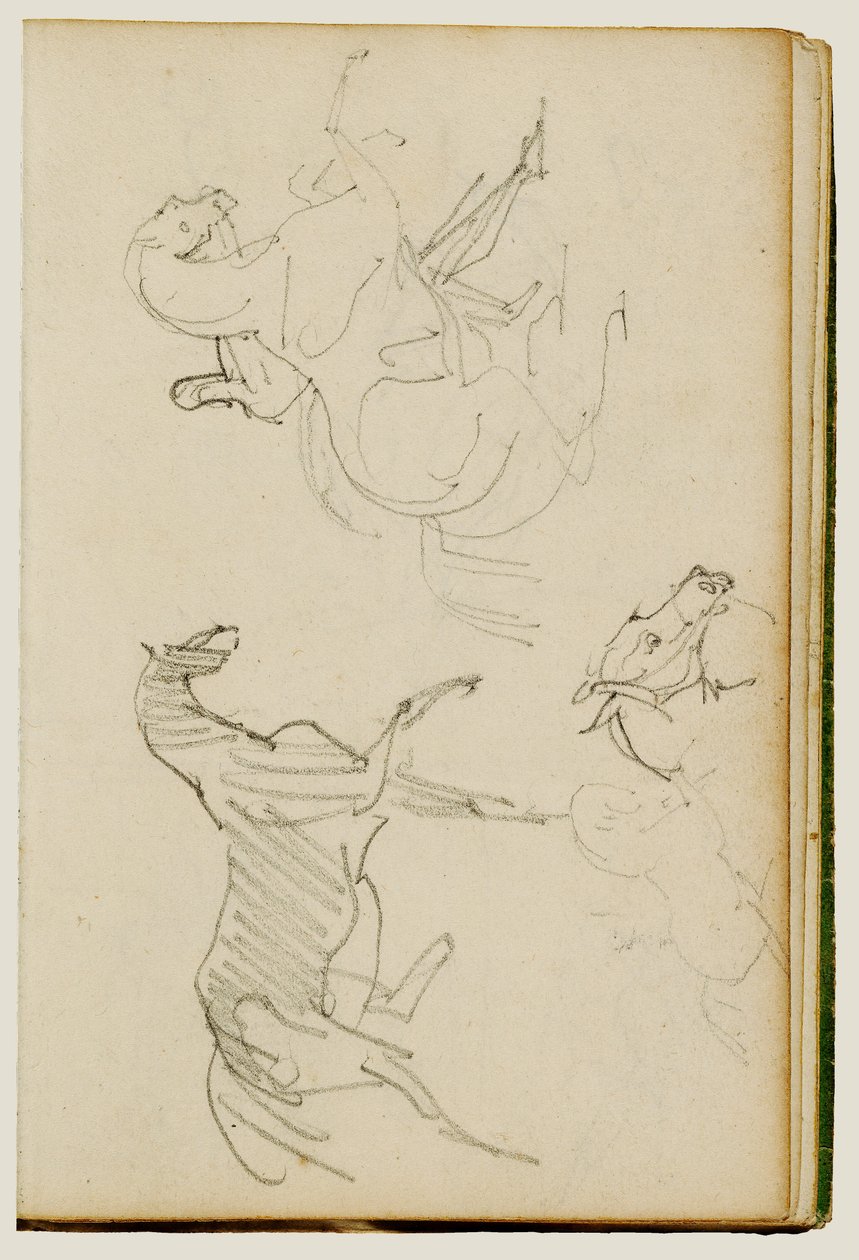 Tři studie na koních od Theodore Gericault