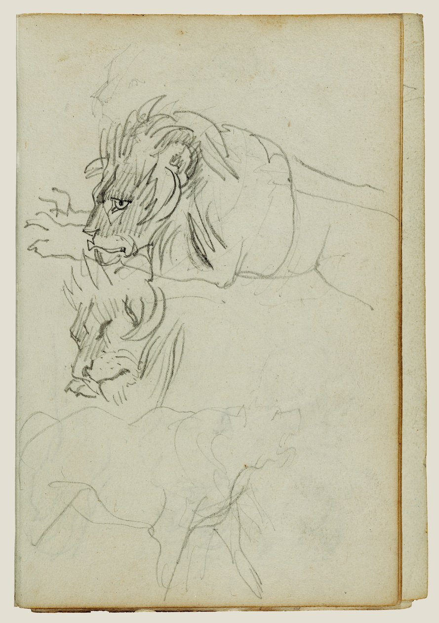 Tři studie lvů od Theodore Gericault