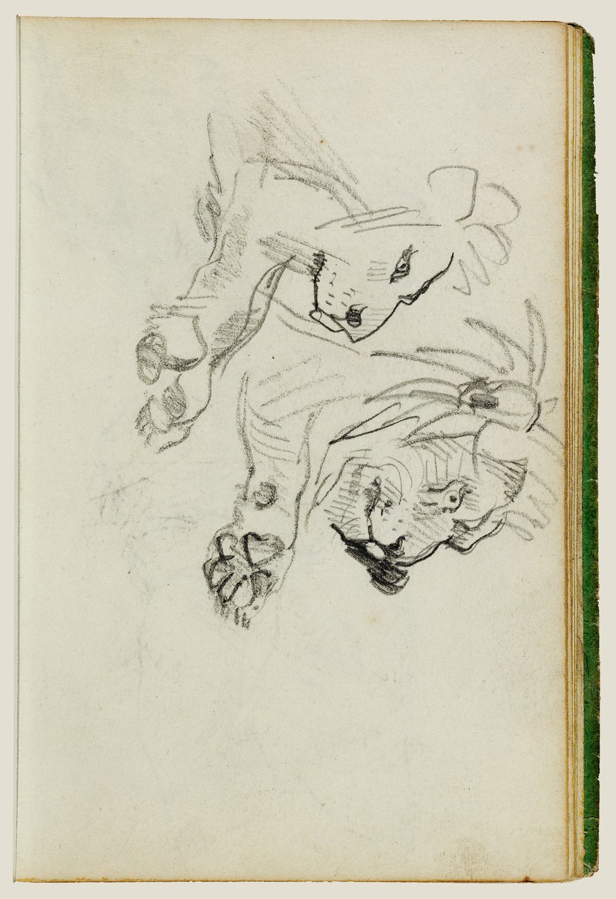 Dvě studie o lvech od Theodore Gericault
