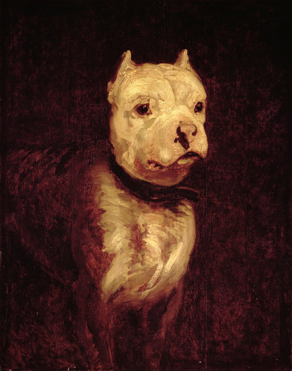 Neznámý obrázek od Theodore Gericault