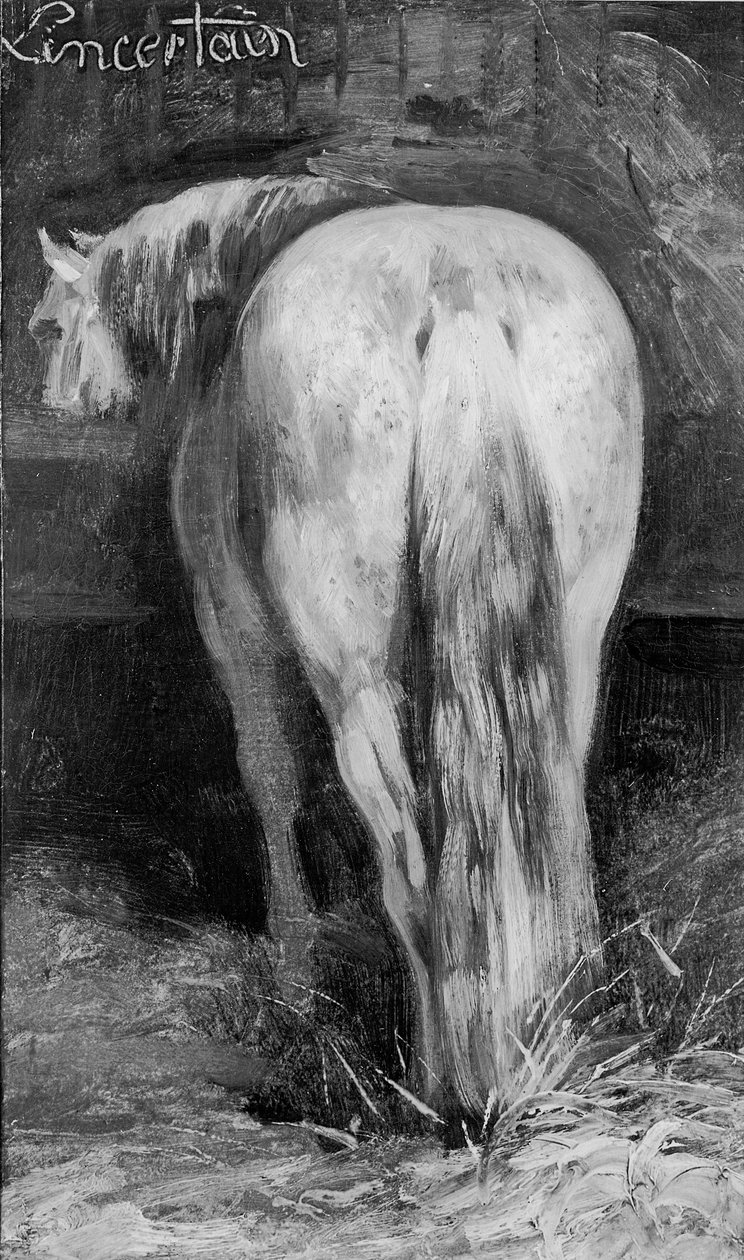 Nejistý, Kůň ve stáji od Theodore Gericault