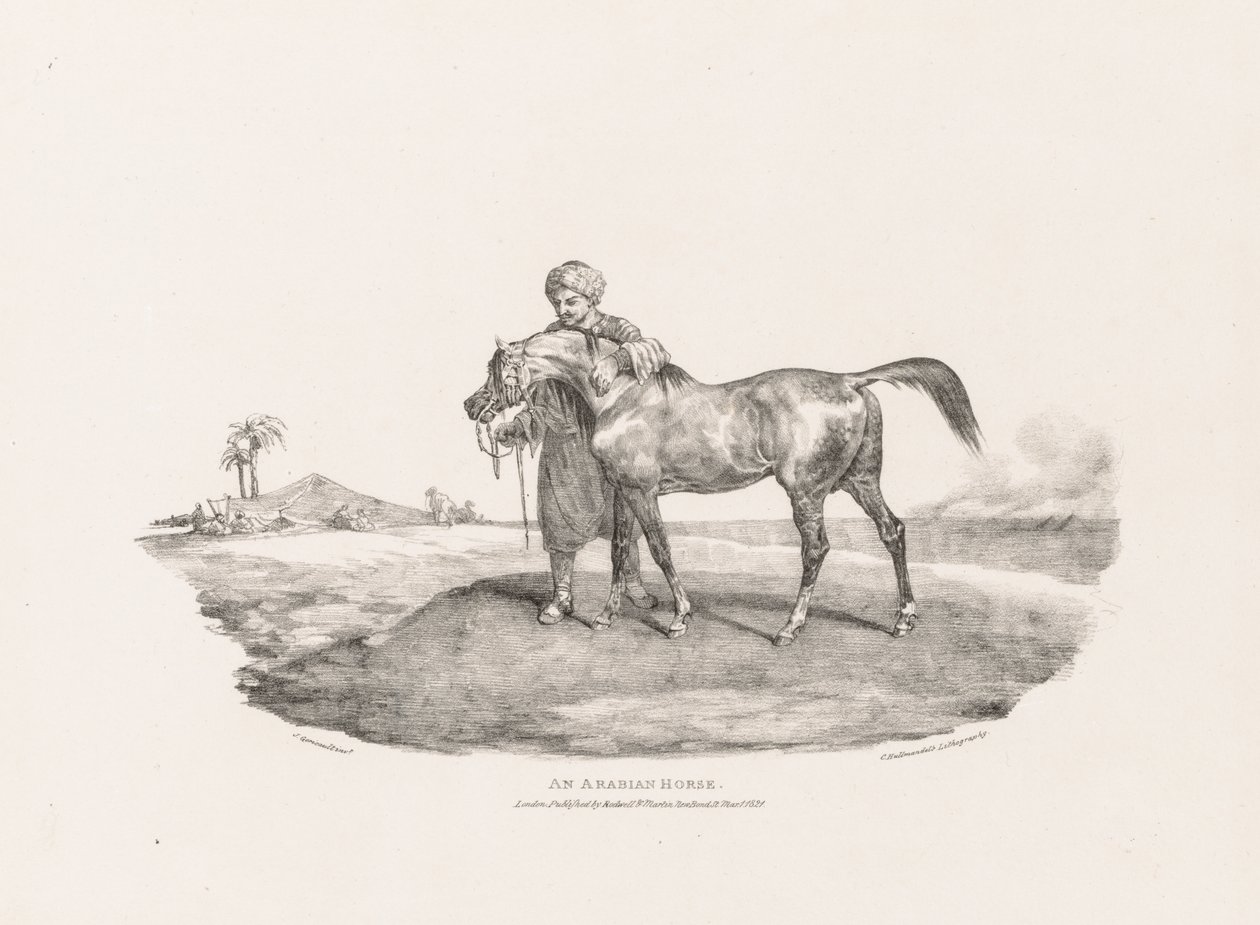 Různá témata kreslená podle živého modelu a na kameni: Arabský kůň od Theodore Gericault