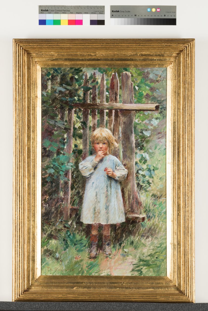 Marauder od Theodore Robinson