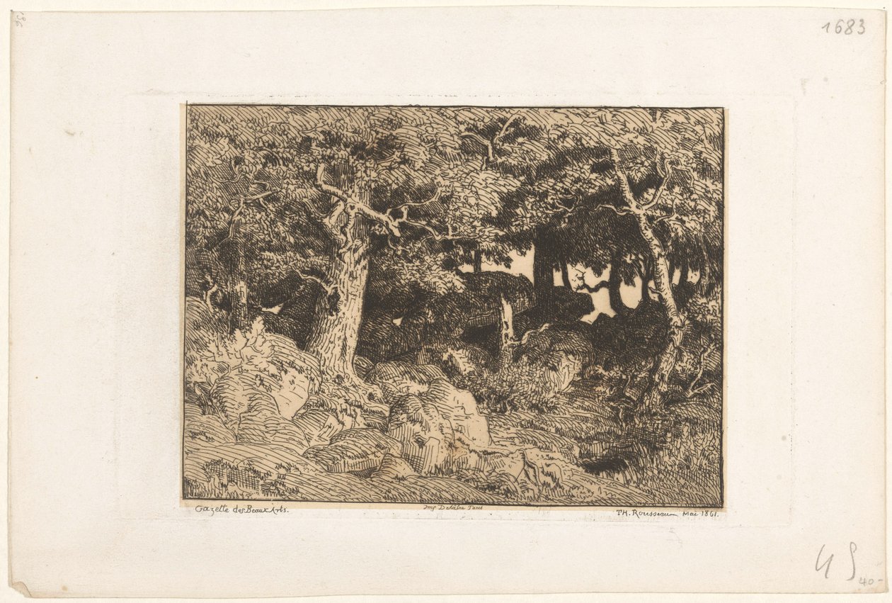 Duby na skalách Chenes de Roche (původní název) od Theodore Rousseau
