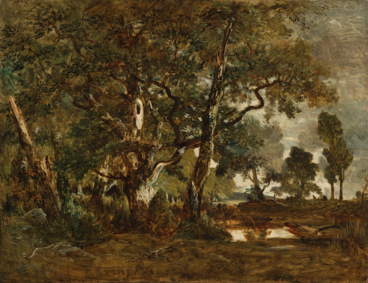 Les Fontainebleau, shluk vysokých stromů s výhledem na planinu Clair-Bois na okraji Bas-Bréau od Theodore Rousseau