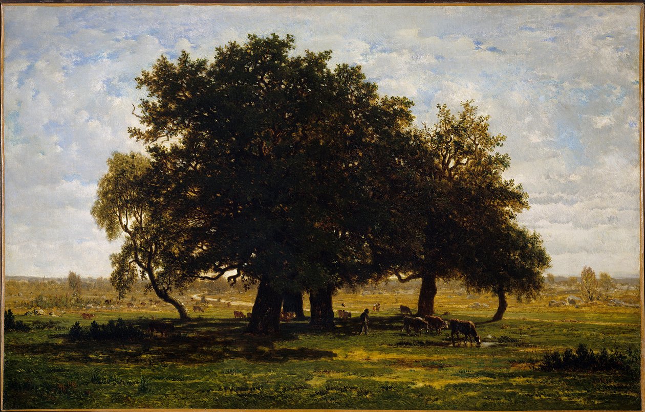 Skupina Chenes, Apremont. Obraz Theodora Rousseaua (1812-1867) od Pierre Etienne Theodore Rousseau