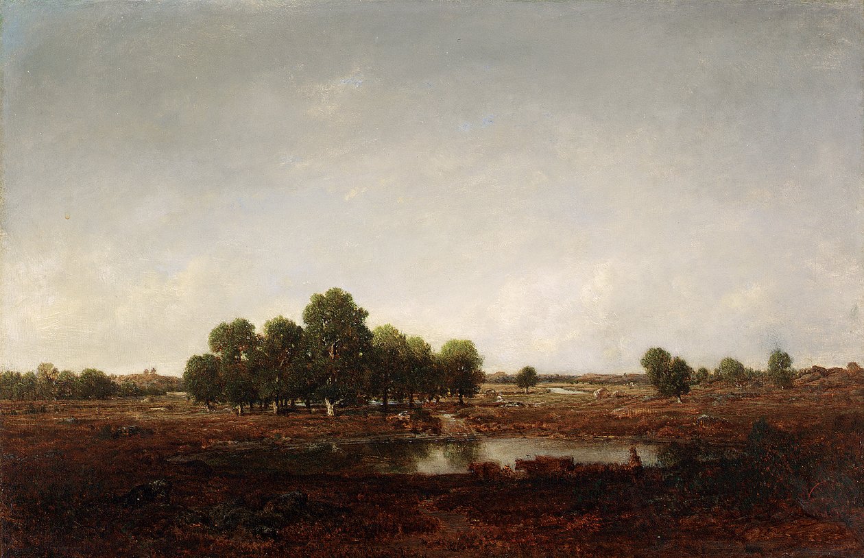Krajina s bažinou od Pierre Etienne Theodore Rousseau