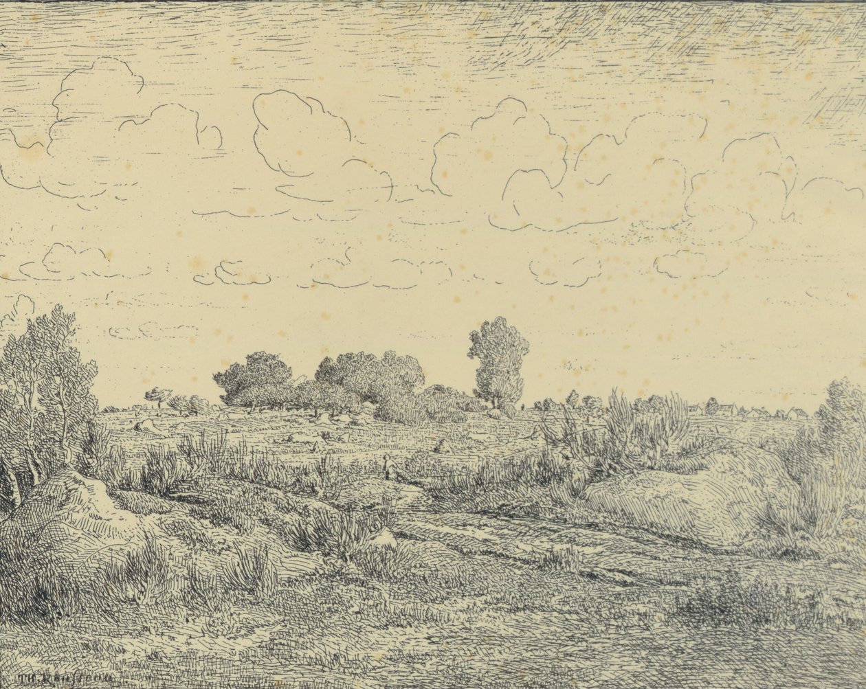 Plaine de La Plante v Biau od Theodore Rousseau