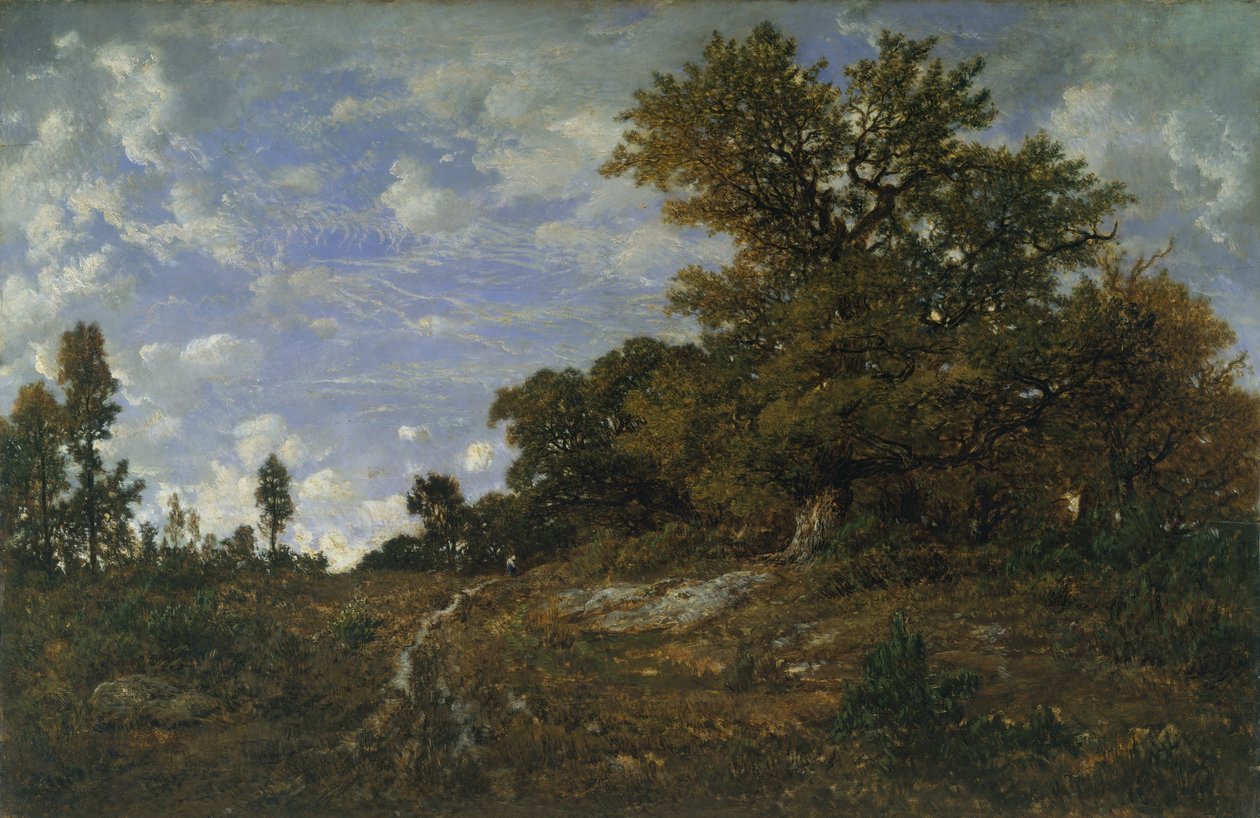 Edge of the Woods v Monts-Girard, Fontainebleau Forest od Pierre Etienne Theodore Rousseau