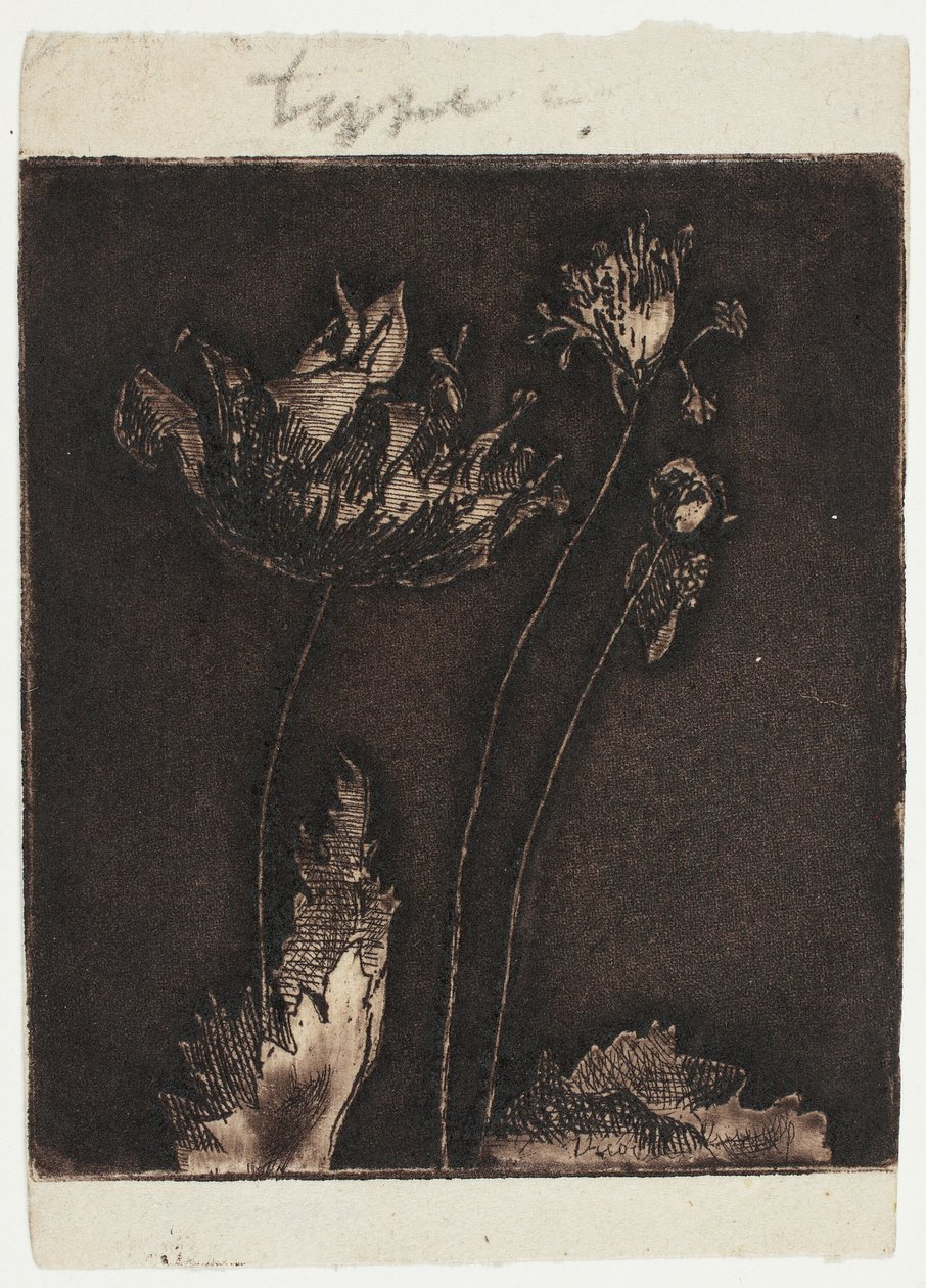 Poslední máky od Theodore Roussel
