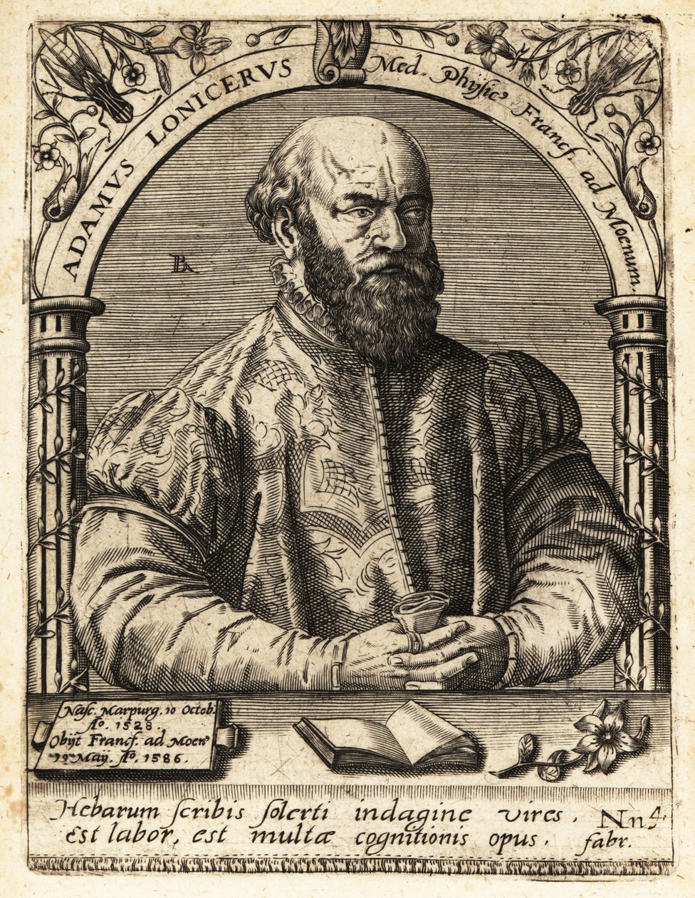 Adam Lonicer nebo Lonitzer od Theodore de Bry