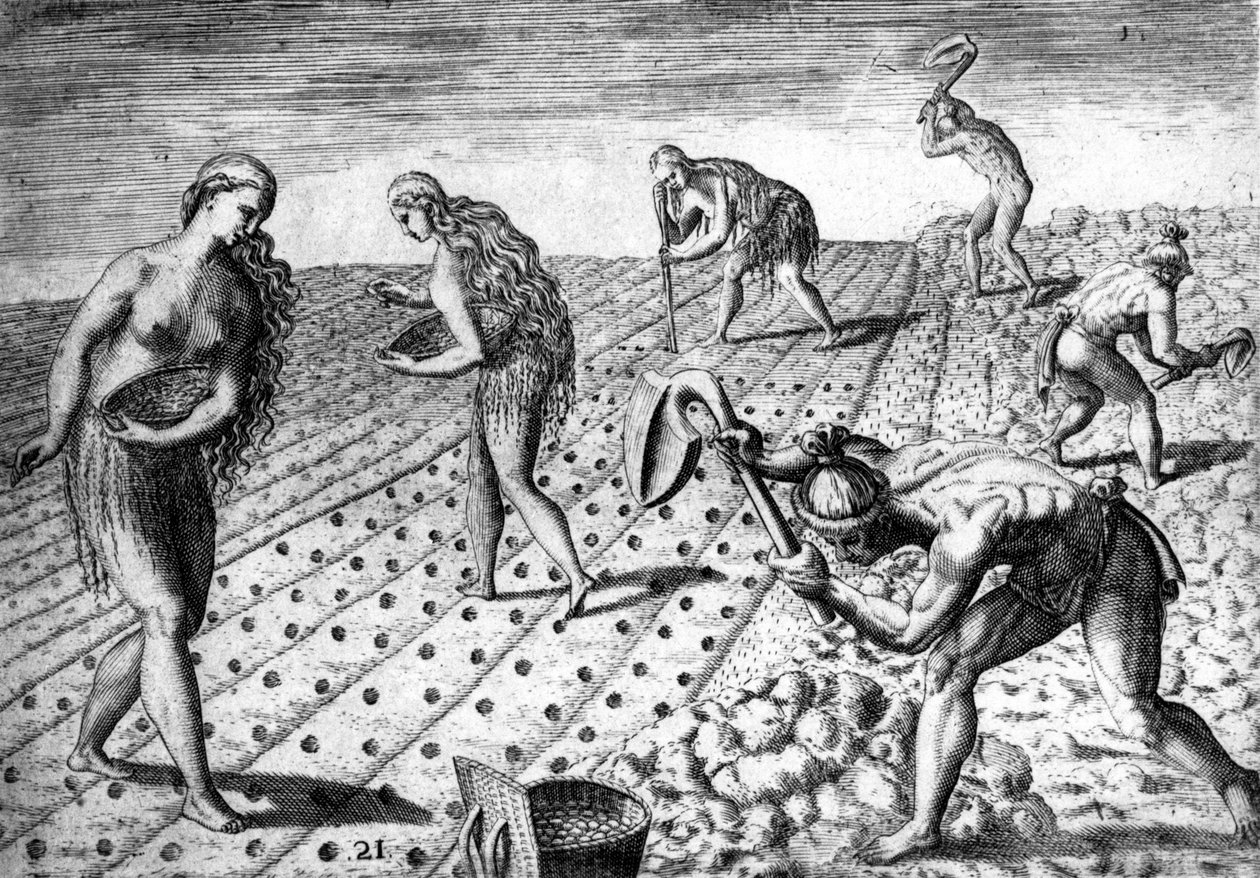 Zemědělství mezi domorodci z Jižní Ameriky – v „“ Admirante Narratio Americae“ od Théodora de Bry od Theodore de Bry