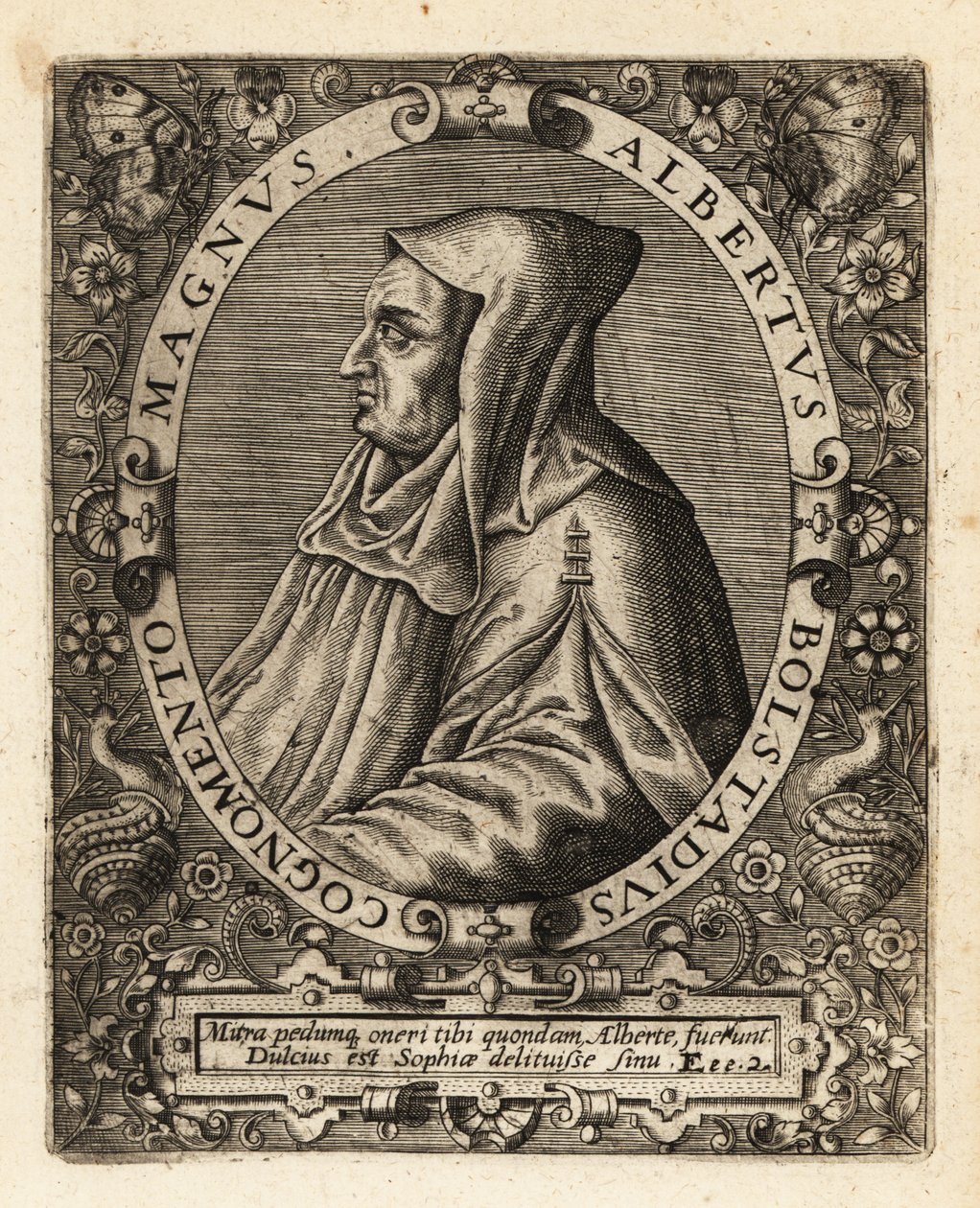 Albertus Magnus, německý katolický biskup. od Theodore de Bry