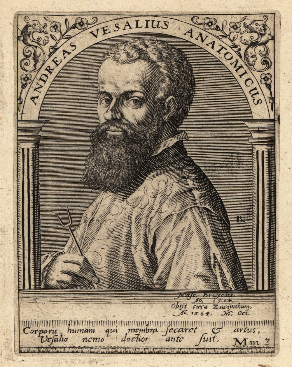 Andreas Vesalius , vlámský lékař, anatom od Theodore de Bry