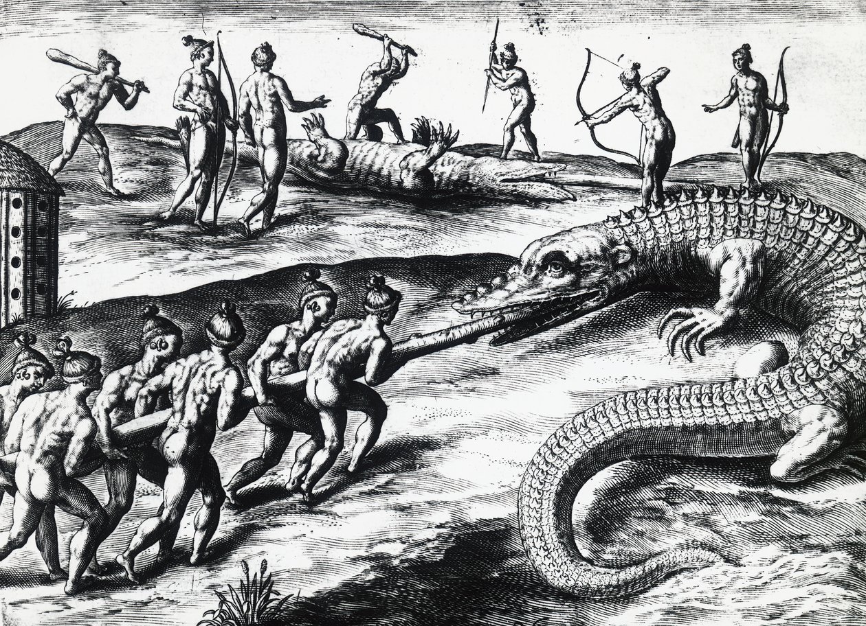 Lov krokodýla na Floridě, z malby Jacques le Moyne de Morgues (asi 1533-před 1588), Theodor de Bry (1528-1598). rytina od Theodore de Bry
