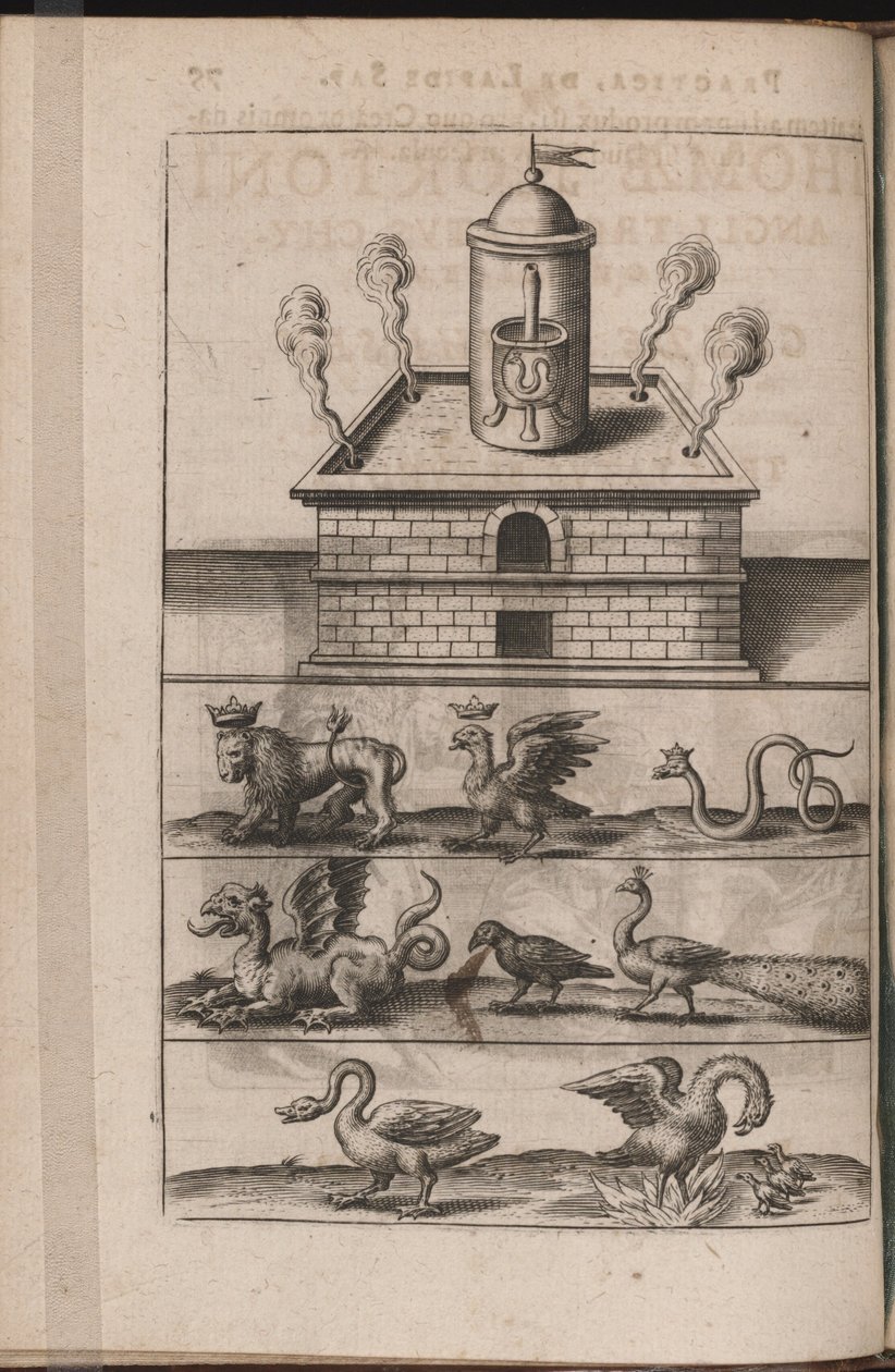 Ilustrace pro Tripus Avrevs, tedy tři pojednání vybraných chemiků.., 1618 od Theodore de Bry