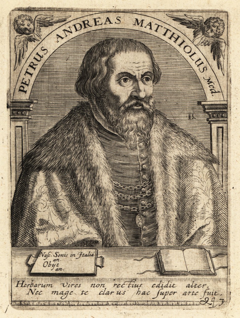 Pietro Andrea Gregorio Mattioli, italský lékař od Theodore de Bry