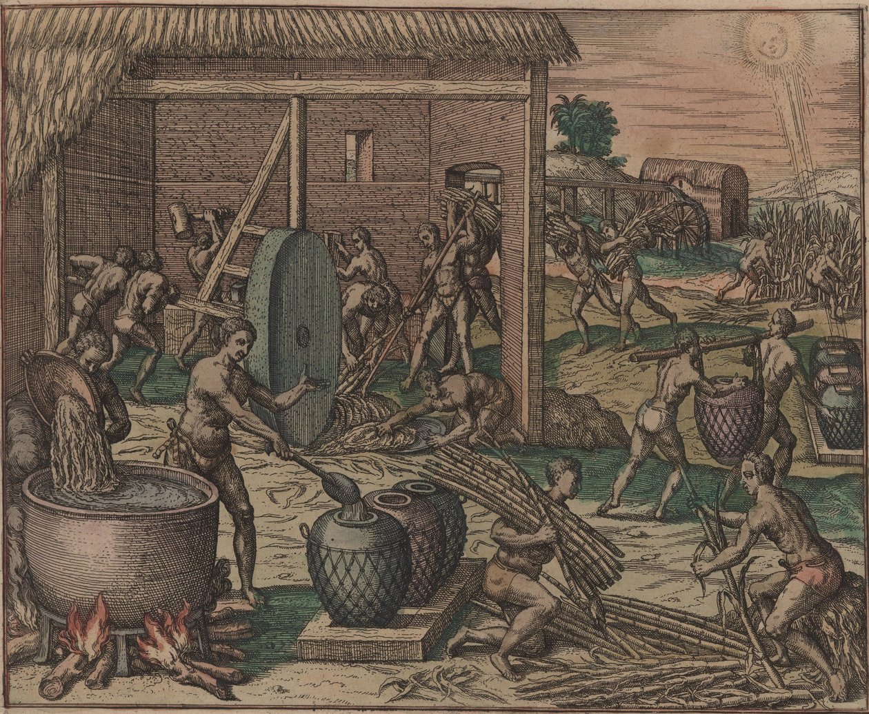 Otroci zpracovávají cukrovou třtinu a vyrábějí cukr, 1595. od Theodore de Bry