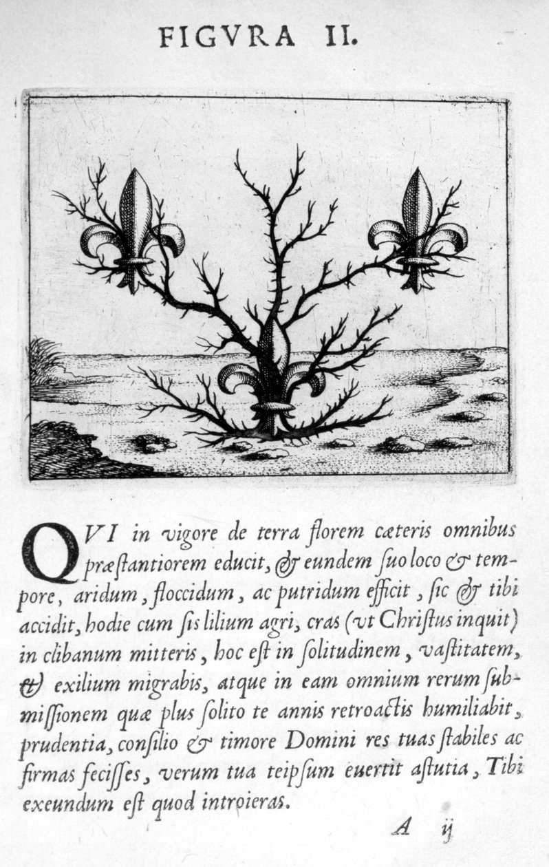 Proroctví postava II z Prognózy doktora Eximii Paracelsus, 1536 od Theophrastus Bombastus von Hohenheim Paracelsus