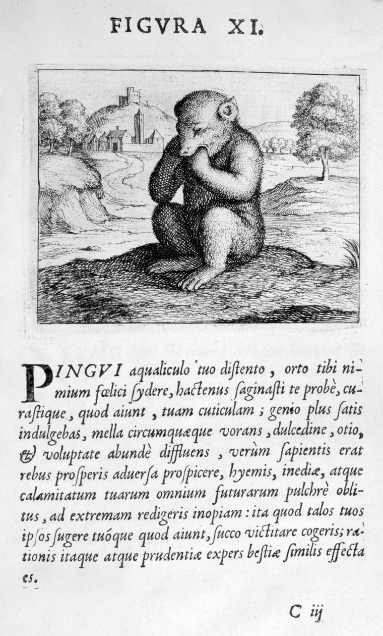 Proroctví postava XI z Prognosticatio Eximii Doctoris Paracelsi, 1536. od Theophrastus Bombastus von Hohenheim Paracelsus