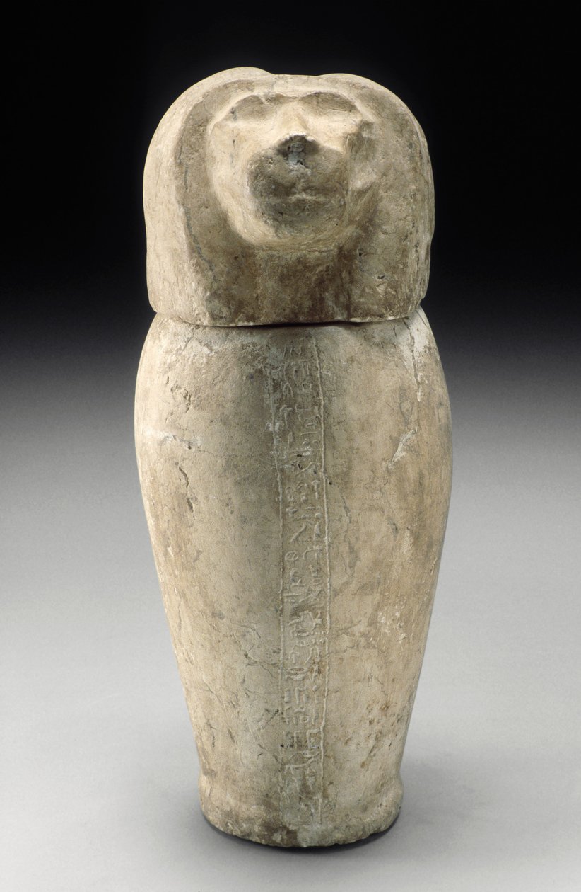Canopic Jar s Cynocephaous Head (vápenec) od Third Intermediate Period Egyptian