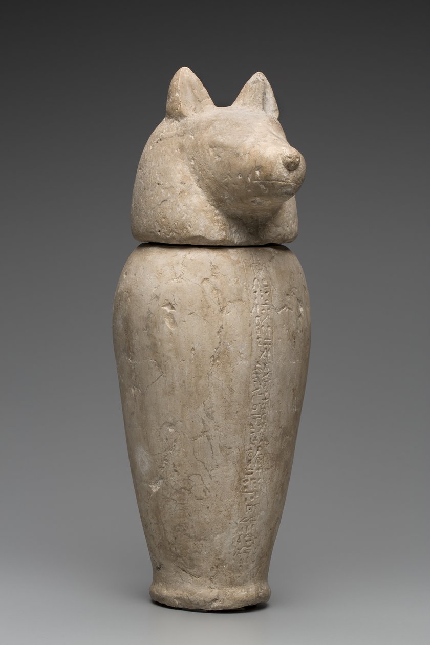 Canopic Jar se Šakalí hlavou (vápenec) od Third Intermediate Period Egyptian