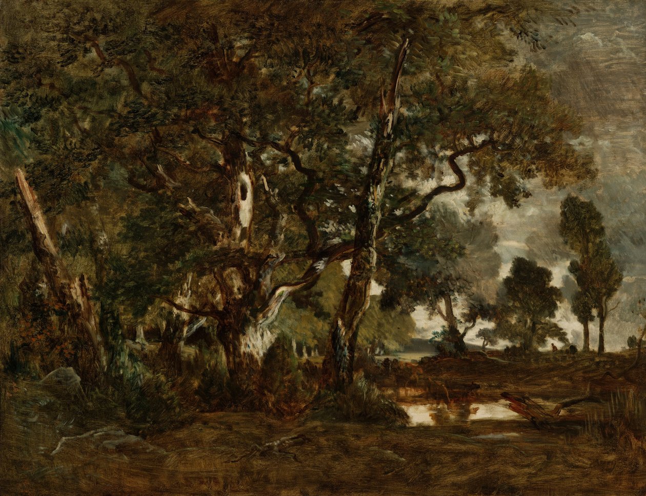 Forest of Fontainebleau, Shluk vysokých stromů s výhledem na pláň Clair-Bois na okraji Ba ... od Pierre Etienne Theodore Rousseau
