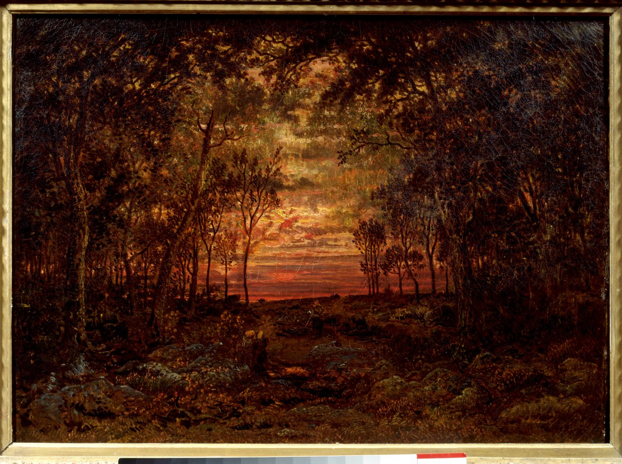 Západ slunce v lese Obraz Theodora Rousseaua (1812-1867) Barbizonská škola z 19. století. Ztlumit. 0,46x0,62m. Olej na plátně. . od Pierre Etienne Theodore Rousseau