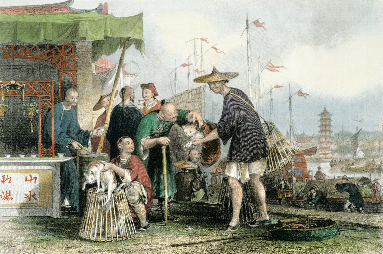 Čínští obchodníci s kočkami, z knihy "Čína v sérii pohledů" od George Newenhama Wrighta (asi 1790-1877) 1843 od Thomas Allom