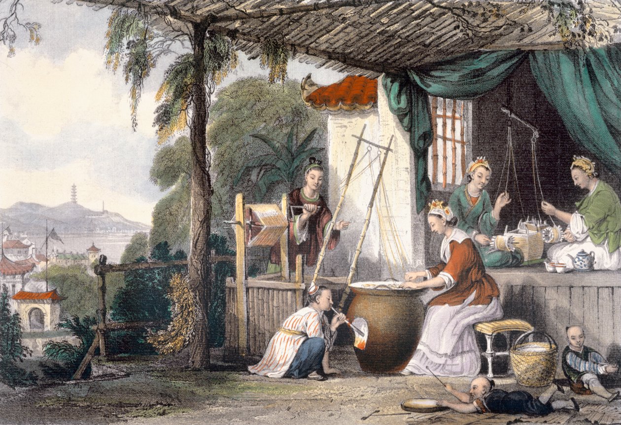Ničení chryzalid a motání kokonů, z knihy "China in a Series of Views" od George Newenhama Wrighta (asi 1790-1877), vyryl J. Davies, 1843 od Thomas Allom