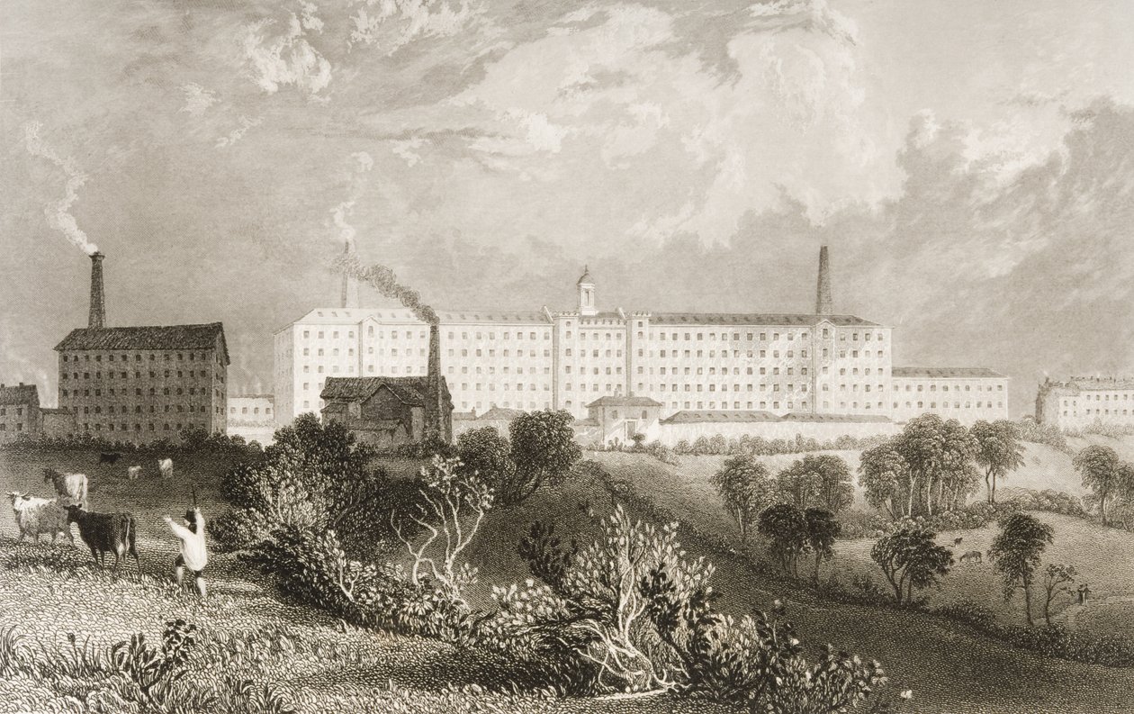 Továrna Swainson Birley und Co. poblíž Prestonu, Lancashire, vyryl James Tingle (fl. 1830-60) c.1833 od Thomas Allom