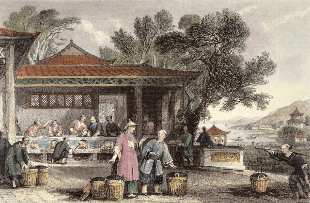 Kultura a příprava čaje z „Čína v řadě pohledů“ od George Newenhama Wrighta (asi 1790-1877) 1843 od Thomas Allom