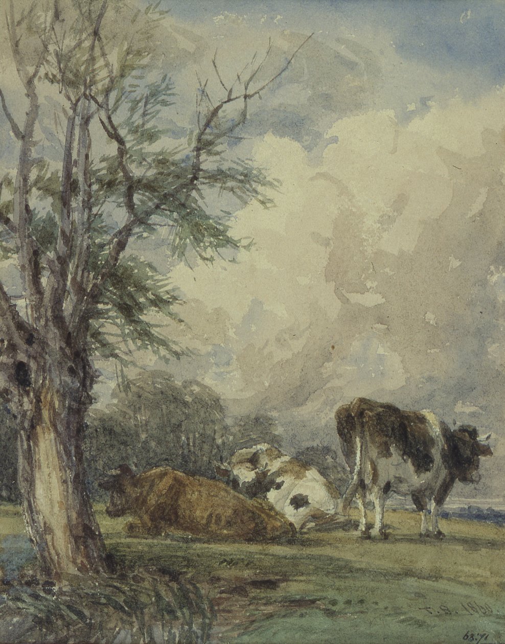 Studie o dobytku, 19. století od Thomas Baker