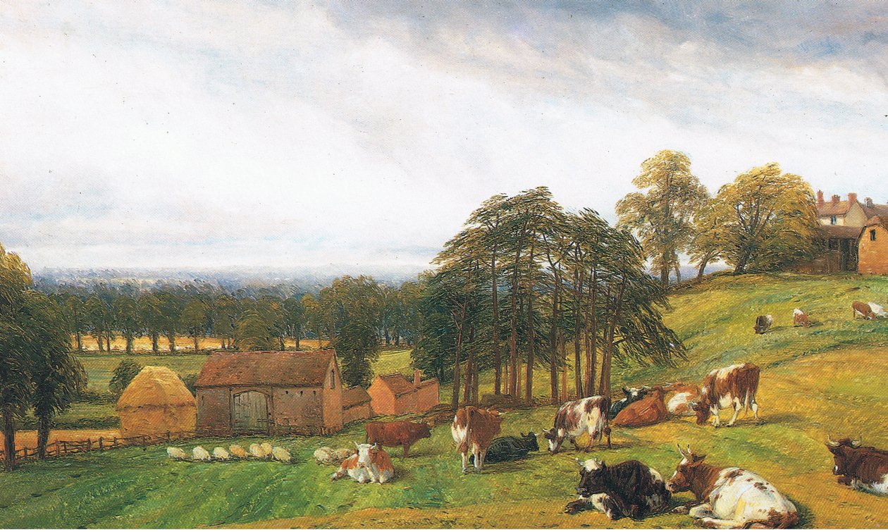 Skot a ovce na farmě Old Park Farm od Thomas Baker
