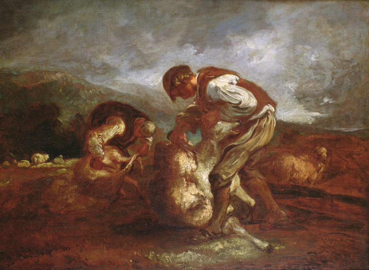 Stříhání ovcí od Thomas Barker of Bath