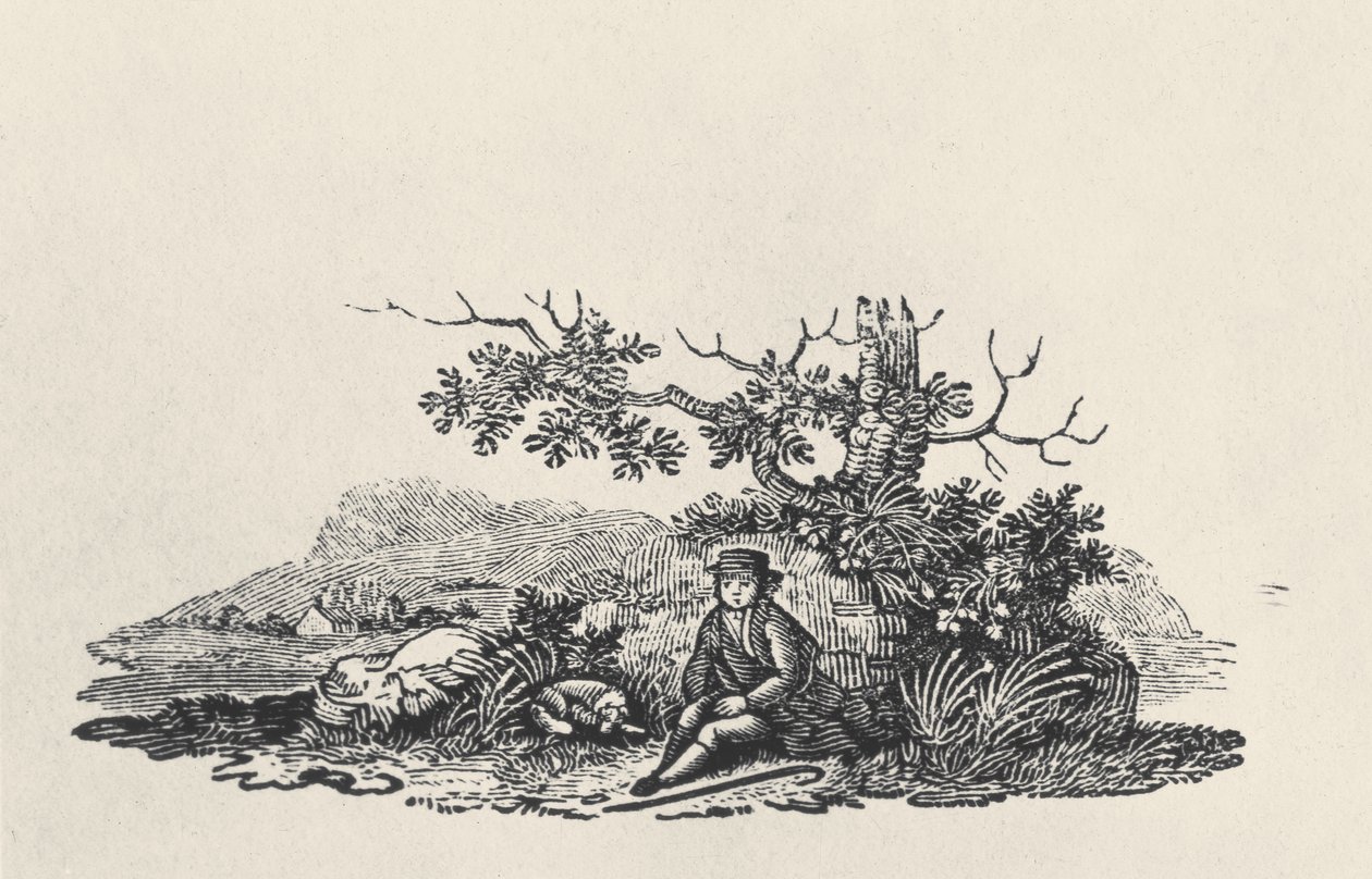 A Gentleman under a Tree, from Land Birds, publikoval 1797 (dřevoryt) od Thomas Bewick